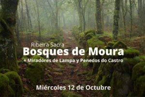 Bosques de Moura (Ribeira Sacra)